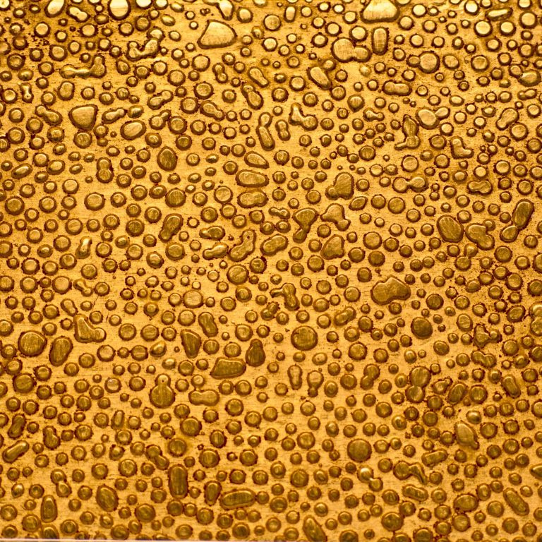 Béatrice Blanchard-dorure