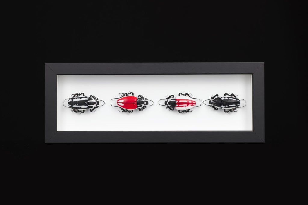 Emanuel Toffolo_Beetles quartet 2021