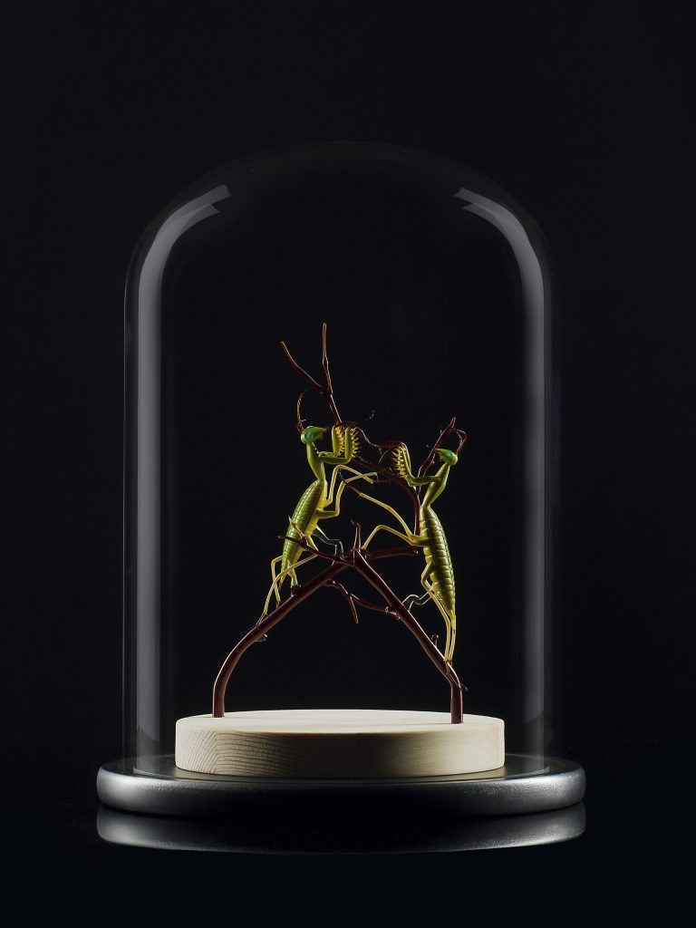 Emanuel Toffolo_Beetles quartet 2021