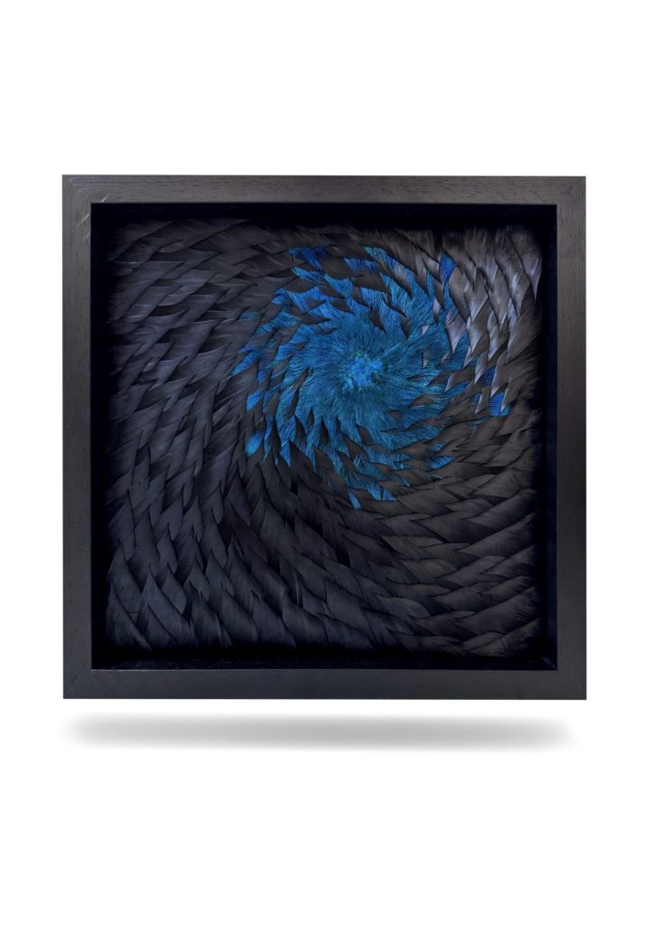 Julien Vermeulen-black argos