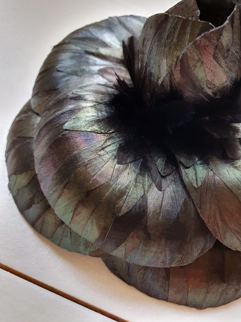 Maud Ruby - Plumes - CAMELIA-GOLDEN ROOSTER-1