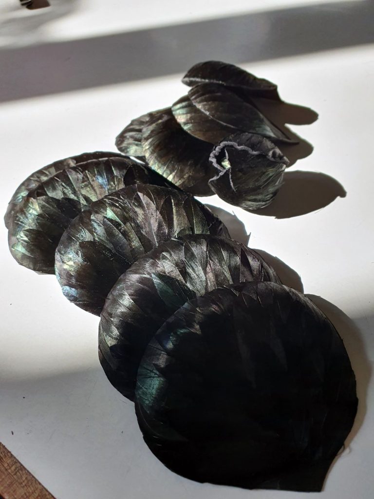 Maud Ruby - Plumes - CAMELIA-GOLDEN ROOSTER-2