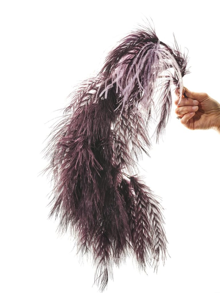 Maud Ruby - Plumes - GRAPPE-credit-thomas-deschamps