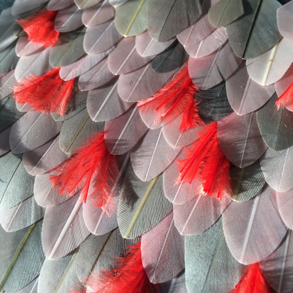 Maud Ruby - Plumes - SAMPLE-2