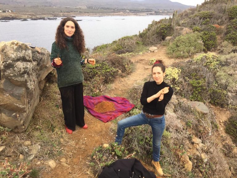 Undurraga Marcela - Recolection argile sauvage Chili