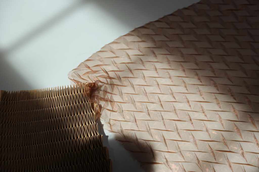 Romuald Mesdagh-Oeuvre Dewi Brunet ©Juliette Vuillermoz