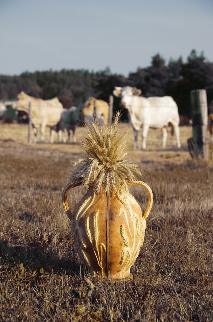 Studio CoPain - © Victoria Nossent