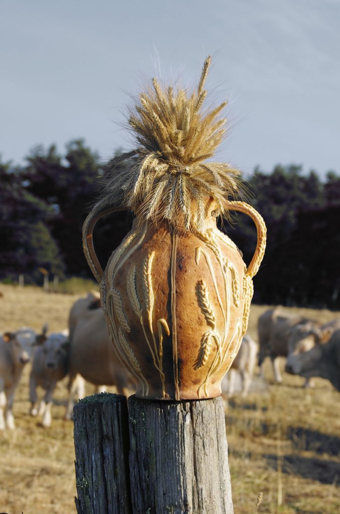 Studio CoPain - © Victoria Nossent