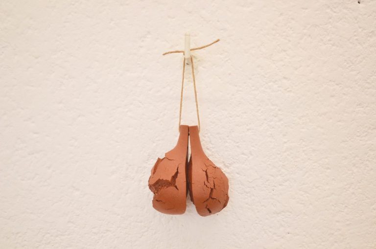 Undurraga Marcela, La tierra me sorprende, 2022