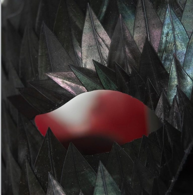 Vermeulen plumasserie