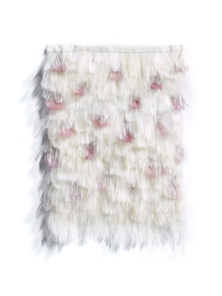 Vermeulen plumasserie - mv-plumasserie-miscellanous-snow-white