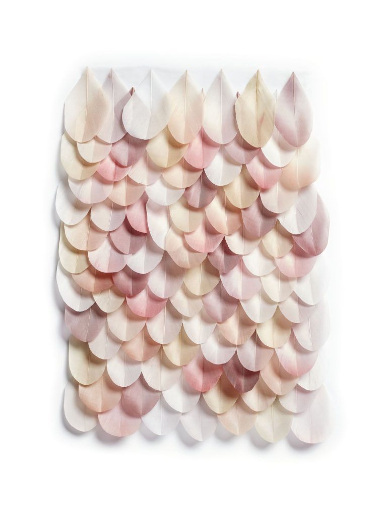 mv-plumasserie-multicolor-iris