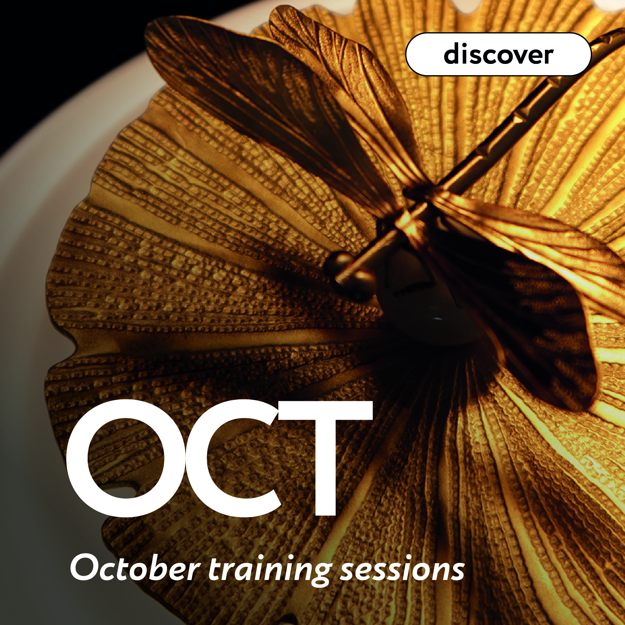 Training programs in october