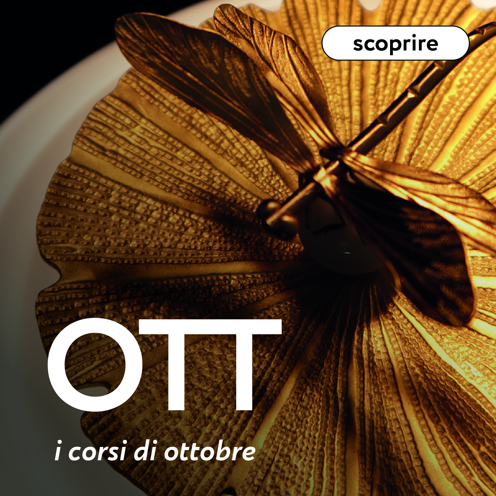 I corsi di formazione di ottobre